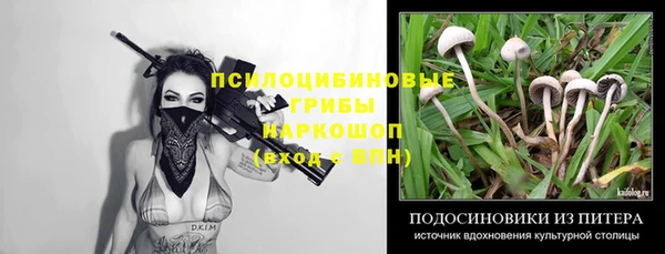 соль ск Кинешма
