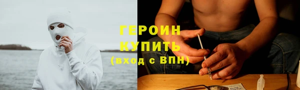 PSILOCYBIN Чегем