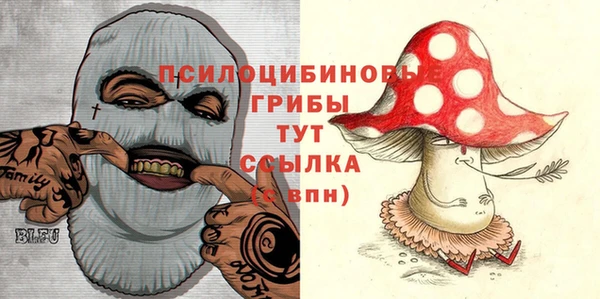 амф Чердынь