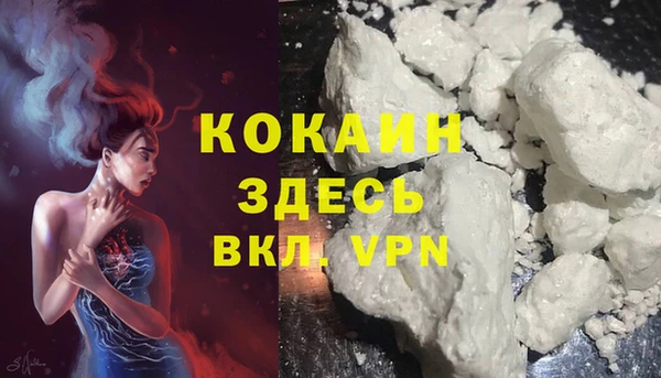соль ск Кинешма